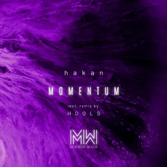 Momentum (Hools Remix) by hakan