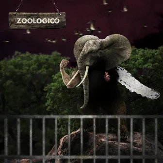 Zoológico by Pablo Feliu