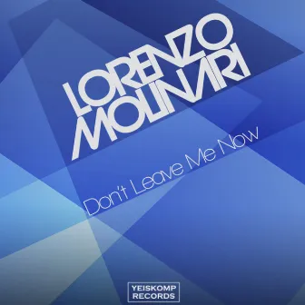 Don't Leave Me Now by Lorenzo Molinari