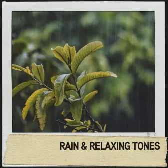 Rain Relaxing Tones: Gentle Pitter-Patter for Relaxation by Rain Wonder