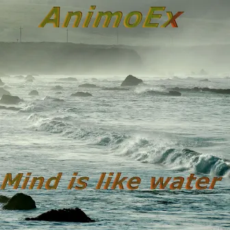 Mind Is Like Water by AnimoEx