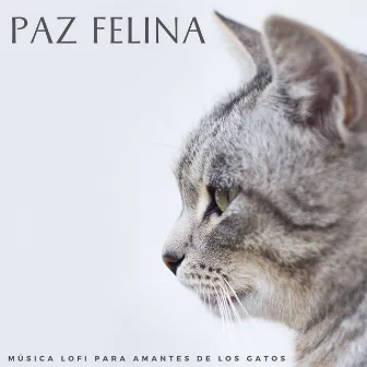 Paz Felina: Música Lofi Para Amantes De Los Gatos by La vida en Legato