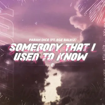 Somebody That I Used To Know by Parah Dice