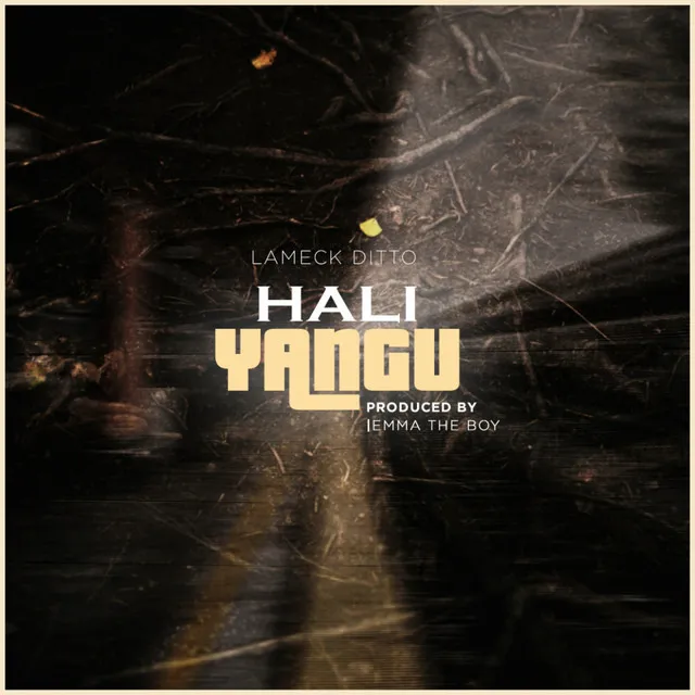 Hali Yangu