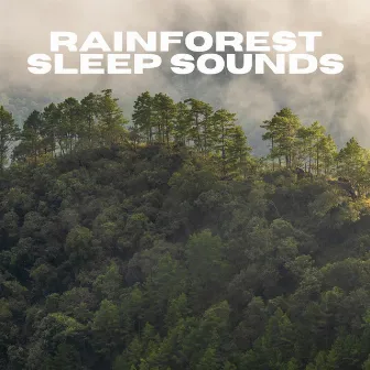 Rainforest Sleep Sounds by Nature Sounds For Sleeping