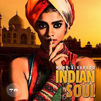 Indian Soul by Mark Alvarado