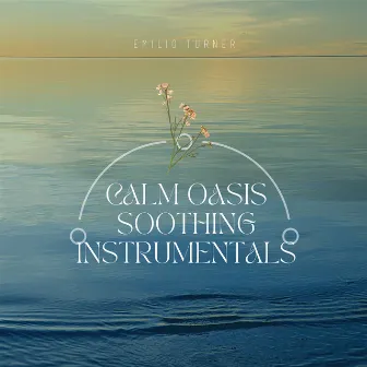 Calm Oasis: Soothing Instrumentals by Emilio Turner