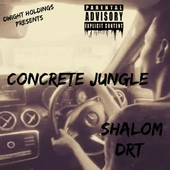 Concrete Jungle by Shalom DRT