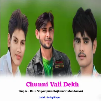 Chunni Vali Dekh by B S Shisholaw