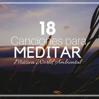 18 Canciones para Meditar: Música World Ambiental, Canciones Relajantes Indias, Sonidos de la Naturaleza by Unknown Artist