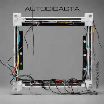 Autodidacta by Nalo Murgas