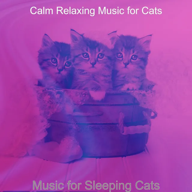 Sprightly Easy Listening Music - Vibe for Sleeping Cats