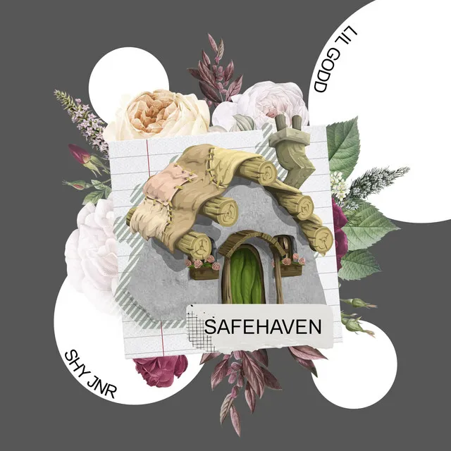 safehaven.