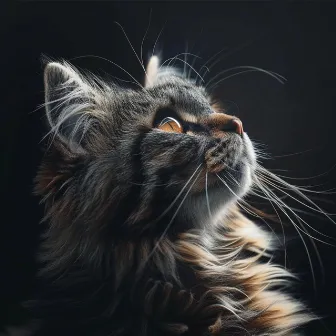 Calming Cat Music for Evening Calm by Universe Energy Gathering