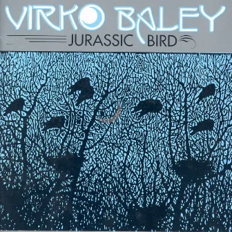 Baley, V.: Partita No. 1 / Sculptured Birds / Nocturnals Nos. 5 and 6 by Virko Baley