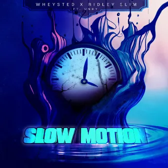 Slow Motion by Wheysted