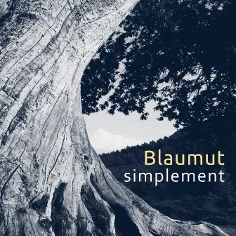 Simplement - Single by Blaumut