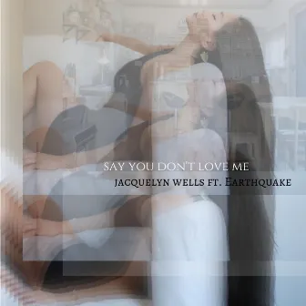 Say You Don't Love Me by Jacquelyn Wells