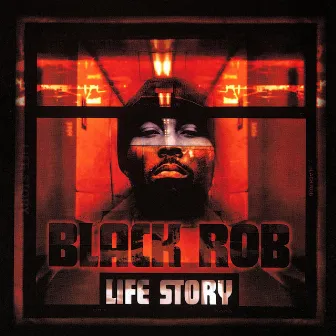 Life Story by Black Rob