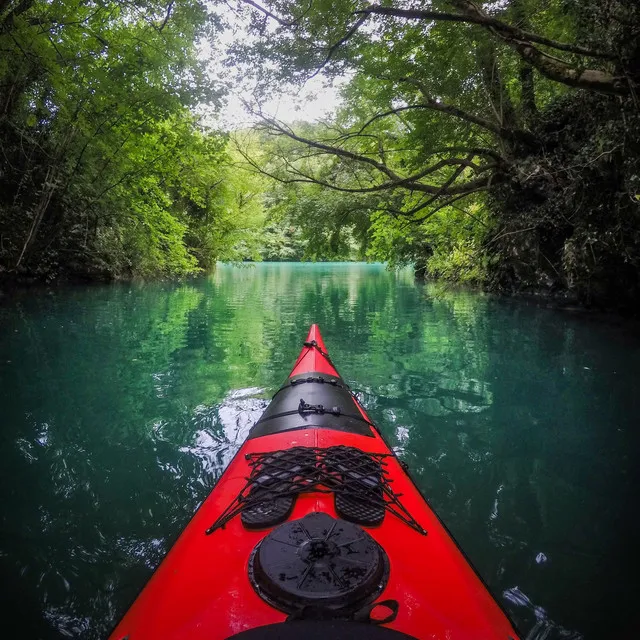 Nature Voyage: Discovering Hidden Melodies