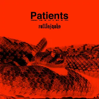 Rattlesnake by Patients