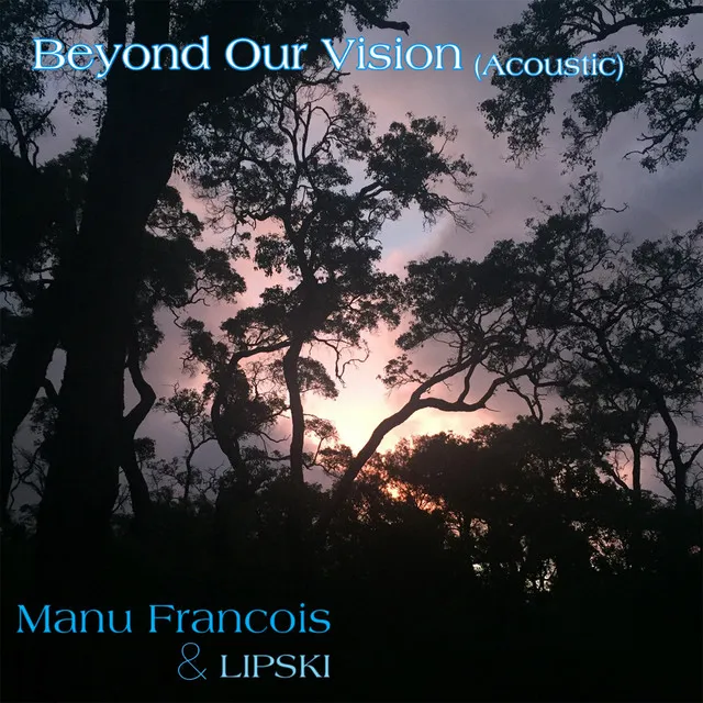 Beyond Our Vision (Acoustic)