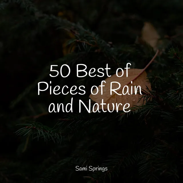 50 Best of Pieces of Rain and Nature