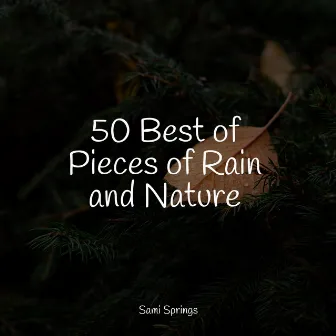 50 Best of Pieces of Rain and Nature by Water Soundscapes