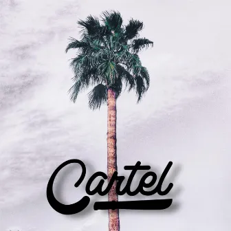 Cartel by KhaiGunnZzz