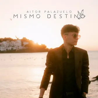 Mismo Destino by Aitor Palazuelo