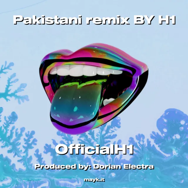 Pakistani remix BY H1