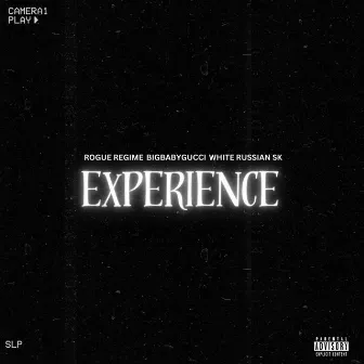 Experience by Rogue Regime