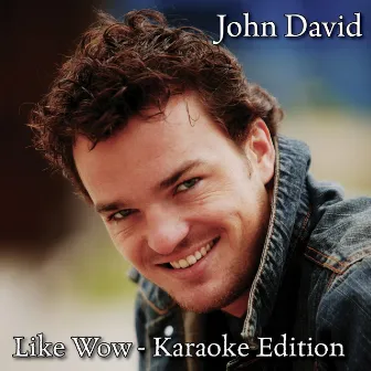 Like Wow (Karaoke Edition) by John David