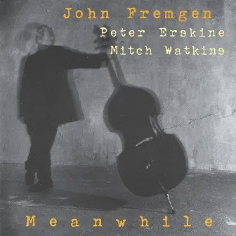 Meanwhile by John Fremgen