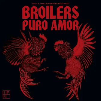 Puro Amor by Broilers