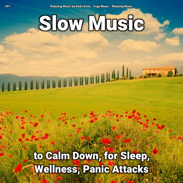 #01 Slow Music to Calm Down, for Sleep, Wellness, Panic Attacks