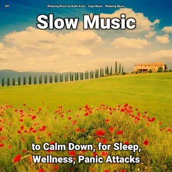 #01 Slow Music to Calm Down, for Sleep, Wellness, Panic Attacks by Relaxing Music by Keiki Avila