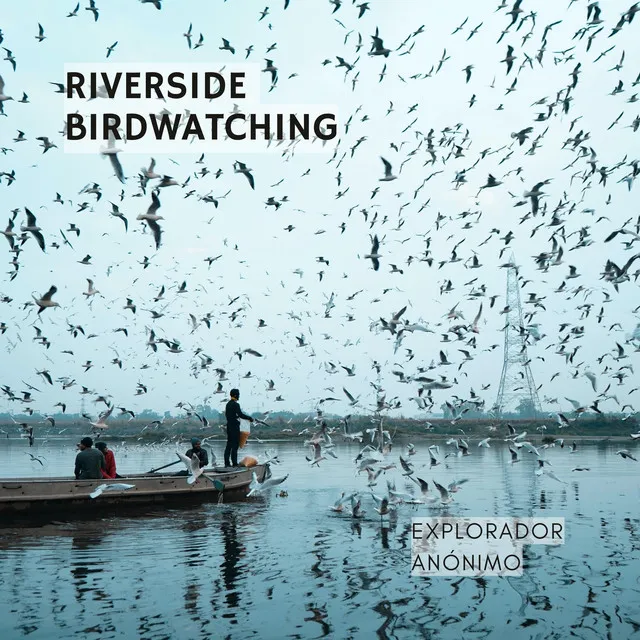 Riverside Birdwatching