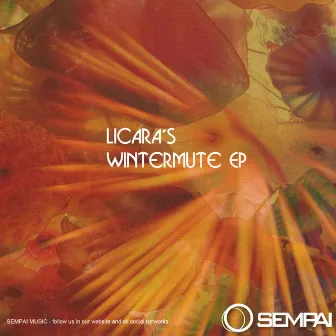 Wintermute EP by 