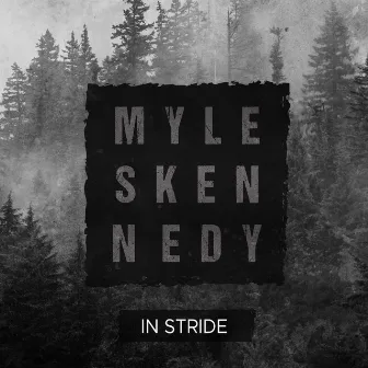 In Stride by Myles Kennedy