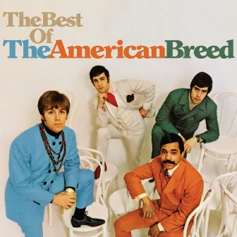 The Best Of The American Breed by American Breed