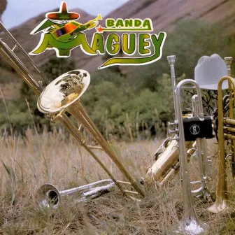 La Estrella De Los Bailes by Banda Maguey