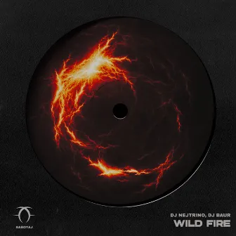 Wild Fire by Dj Baur