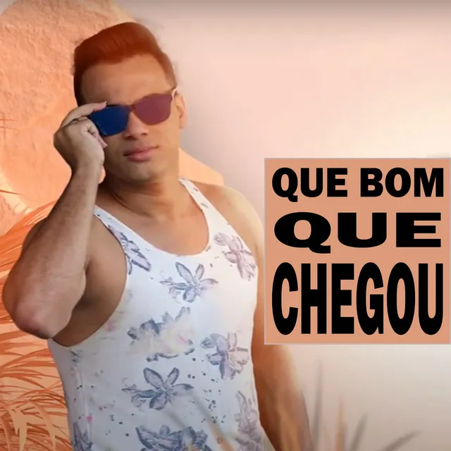 Que Bom Que Chegou