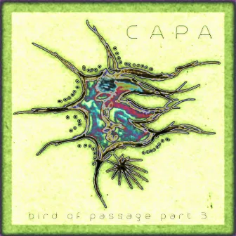 Bird Of Passage, Pt. 3 by Capa