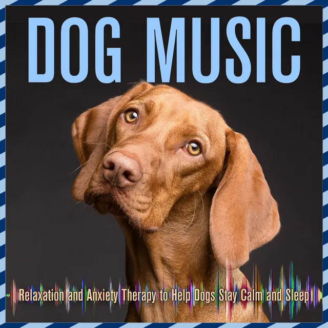 Dog Music: Relaxation and Anxiety Therapy to Help Dogs Stay Calm and Sleep