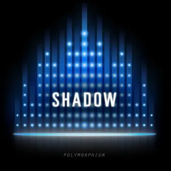 Polymorphism by Shadow