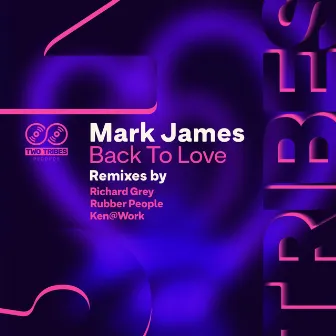 Back to Love (Remixes) by Mark James