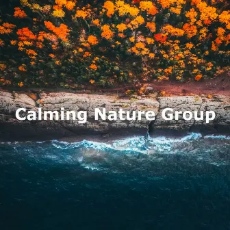 Calming Nature Group by Night Nature Sounds