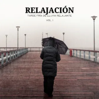 Relajación: Tarde Fría De Lluvia Relajante Vol. 1 by Relajarse Melodías